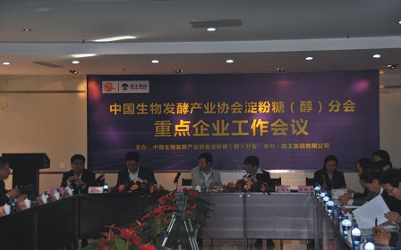 集团顺利参加淀粉糖、多元醇分会重点企业工作会议