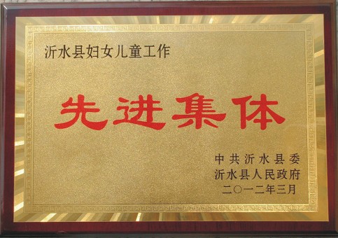 集团获沂水县妇女儿童工作先进集体称号